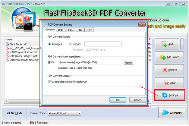 flashflipbook3d-pdf-converter-primary-options