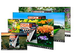 Joyful theme for 3D flip